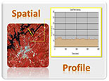 Spatial Profile