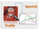 Spectral Profile